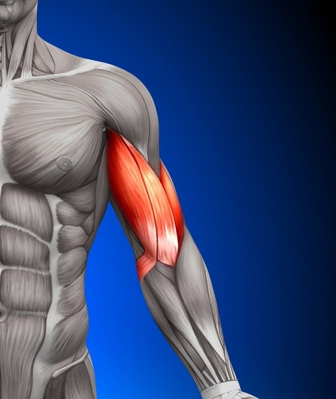 Upper Arm Muscles Pain