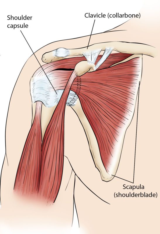 Frozen Shoulder Sport Orthopedic And Rehabilitation