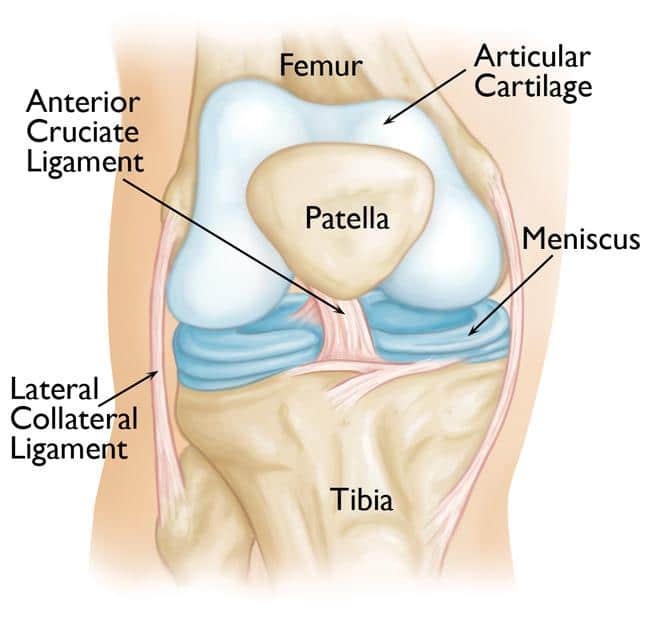 meniscus repair surgery