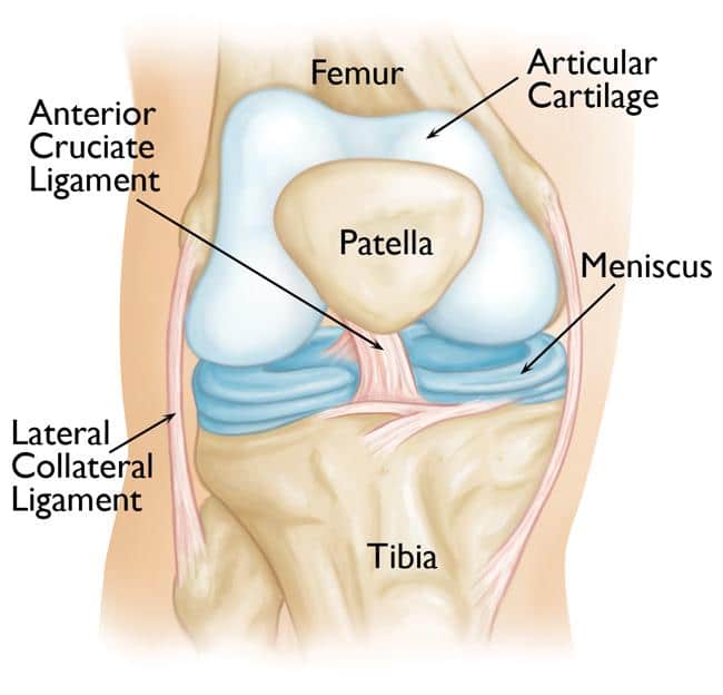 Physical Therapy for Meniscus Tear