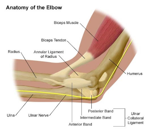 elbow specialist in dallas