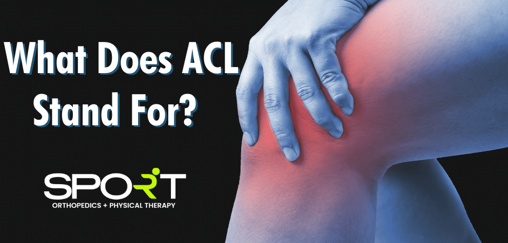what does ACL stand for
