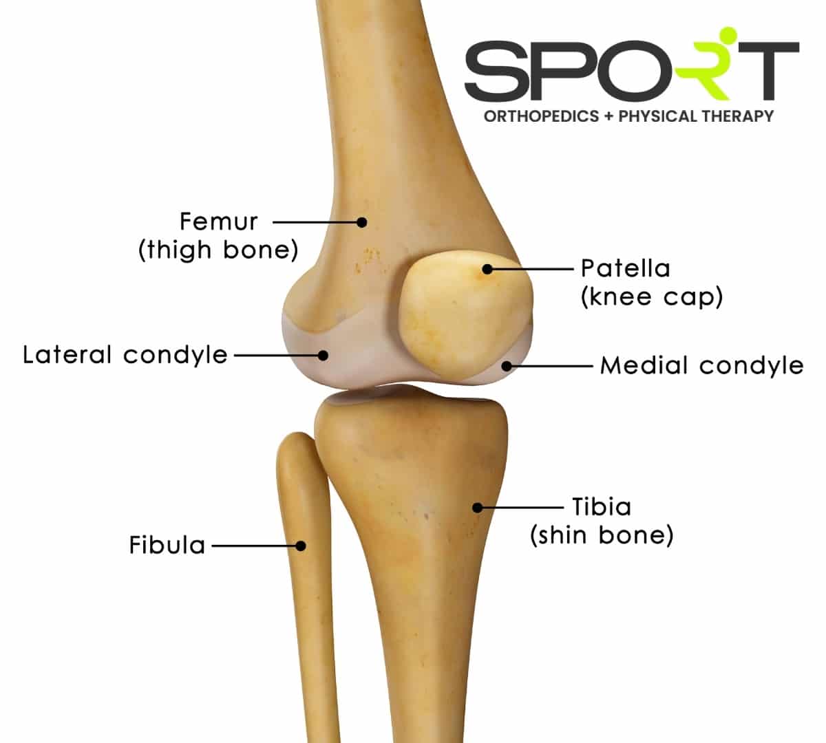 arthritis of the knee