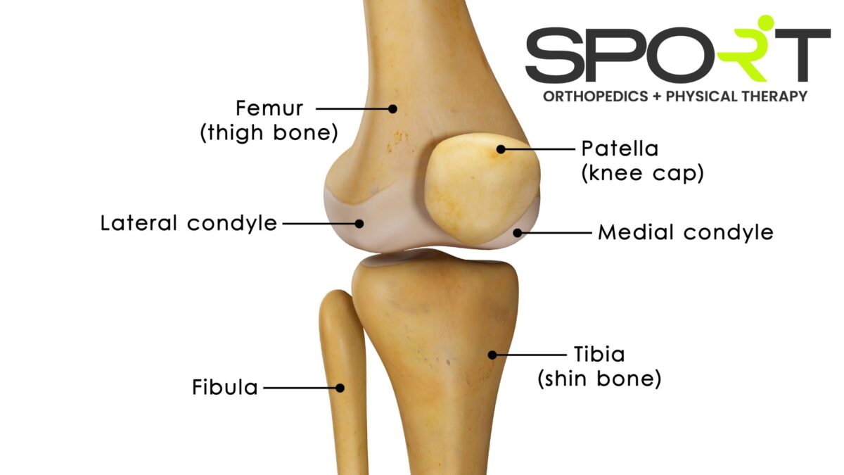 knee pain location chart dallas