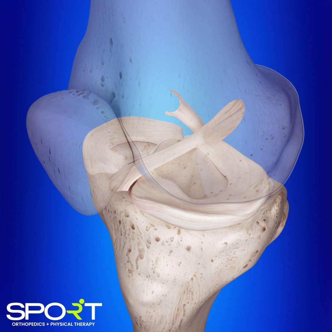 ACL Surgery & ACL Reconstruction Prosper, TX | ACL Tear Prosper