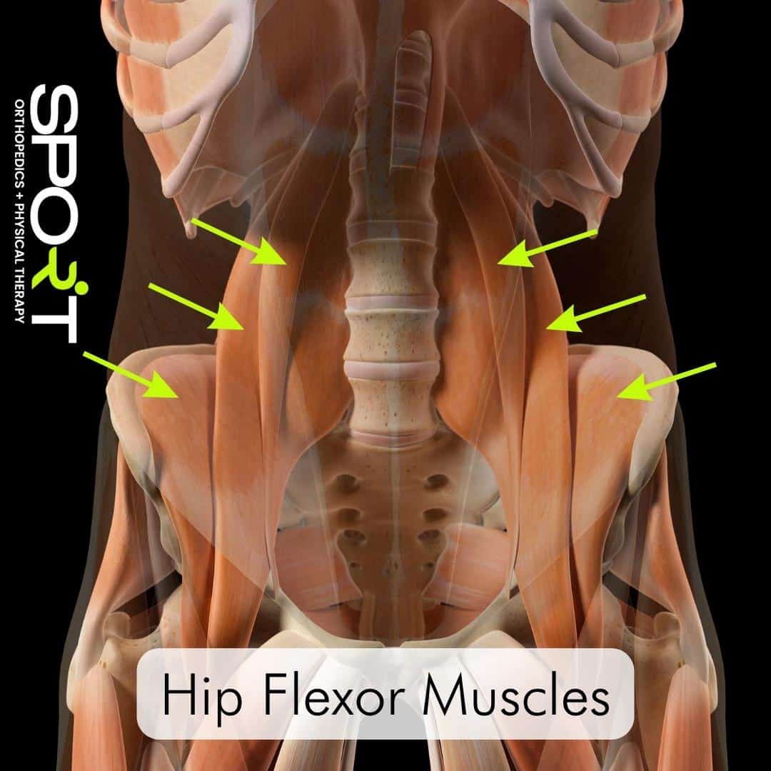 hip flexor strain treatment dallas